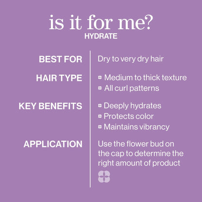 Prime, Protect & Perfect Hair Care Set